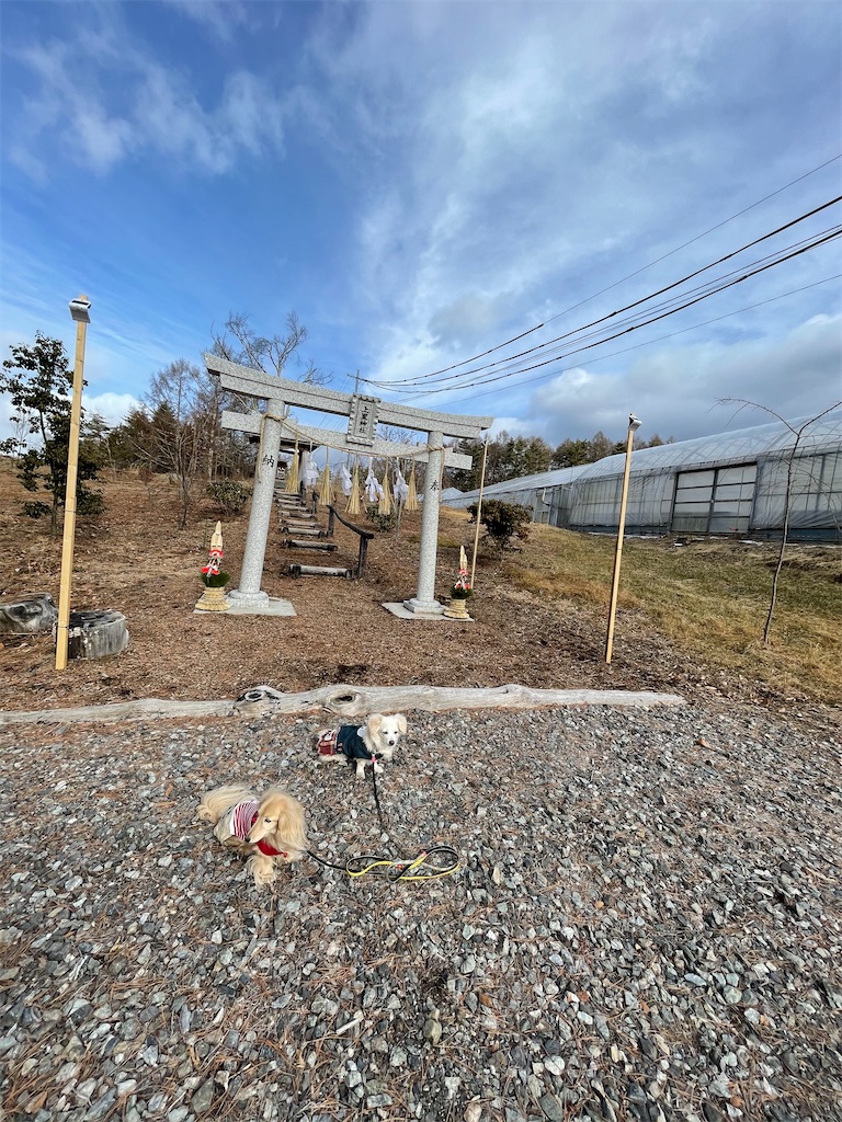 f:id:captaindog082:20210103180510j:image