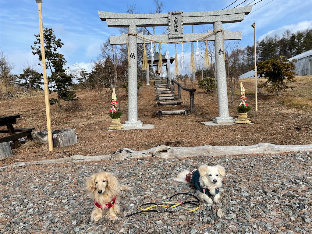 f:id:captaindog082:20210103180518j:image