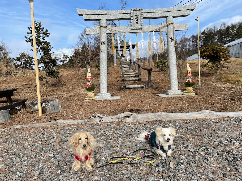 f:id:captaindog082:20210103180534j:image