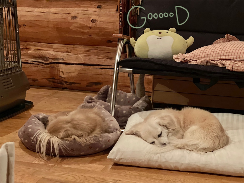 f:id:captaindog082:20210103225938j:image