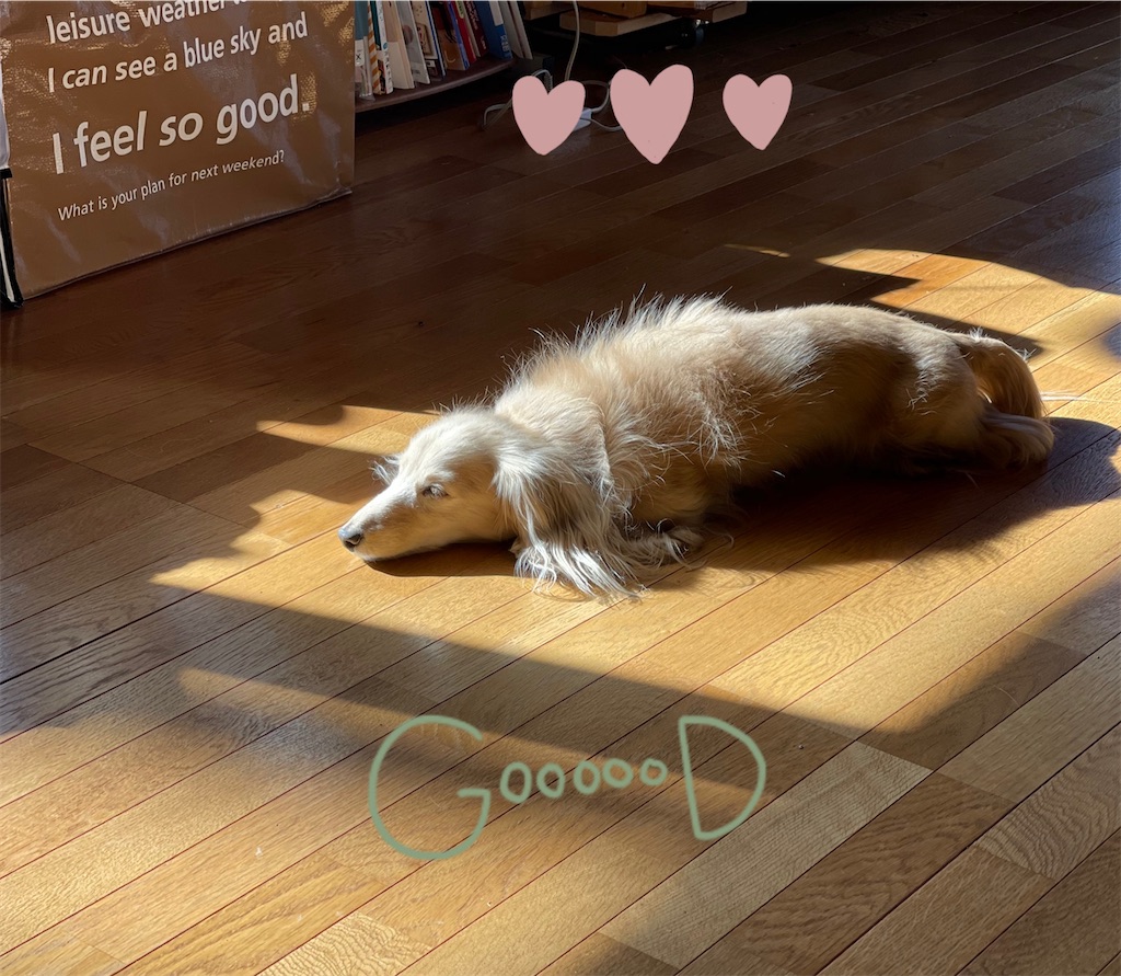 f:id:captaindog082:20210104124523j:image