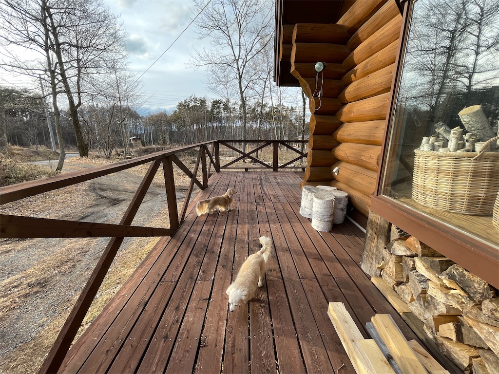 f:id:captaindog082:20210106172648j:image