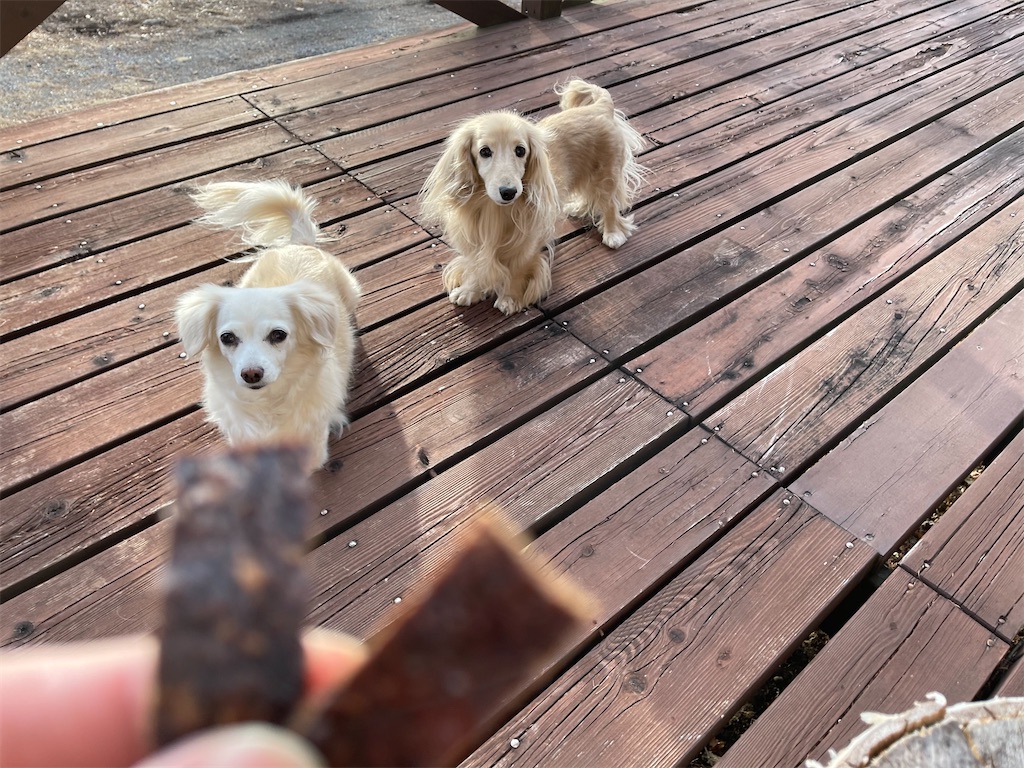 f:id:captaindog082:20210106172655j:image