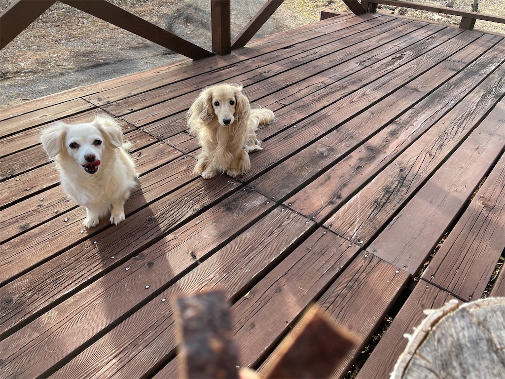 f:id:captaindog082:20210106172706j:image