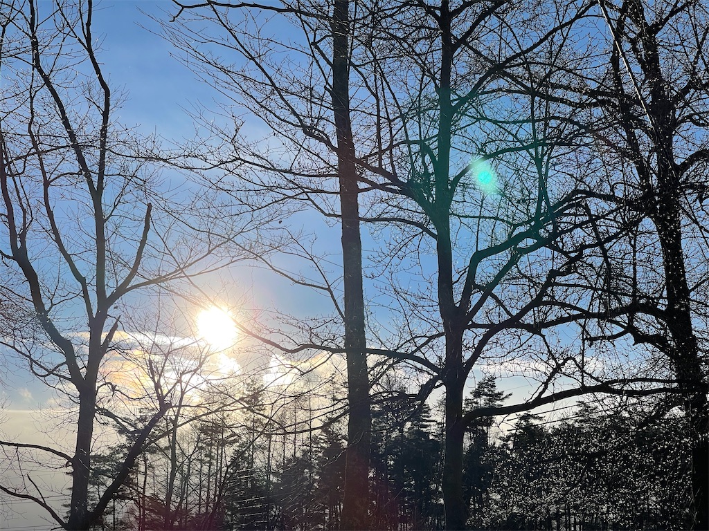 f:id:captaindog082:20210108181115j:image