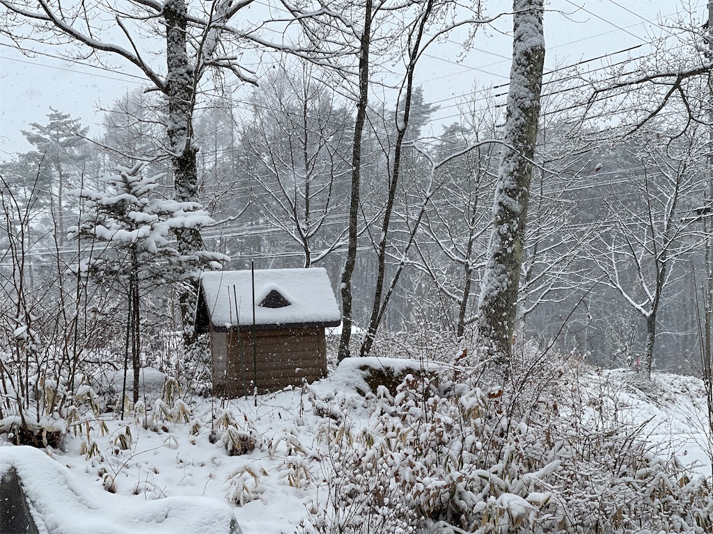 f:id:captaindog082:20210112115352j:image