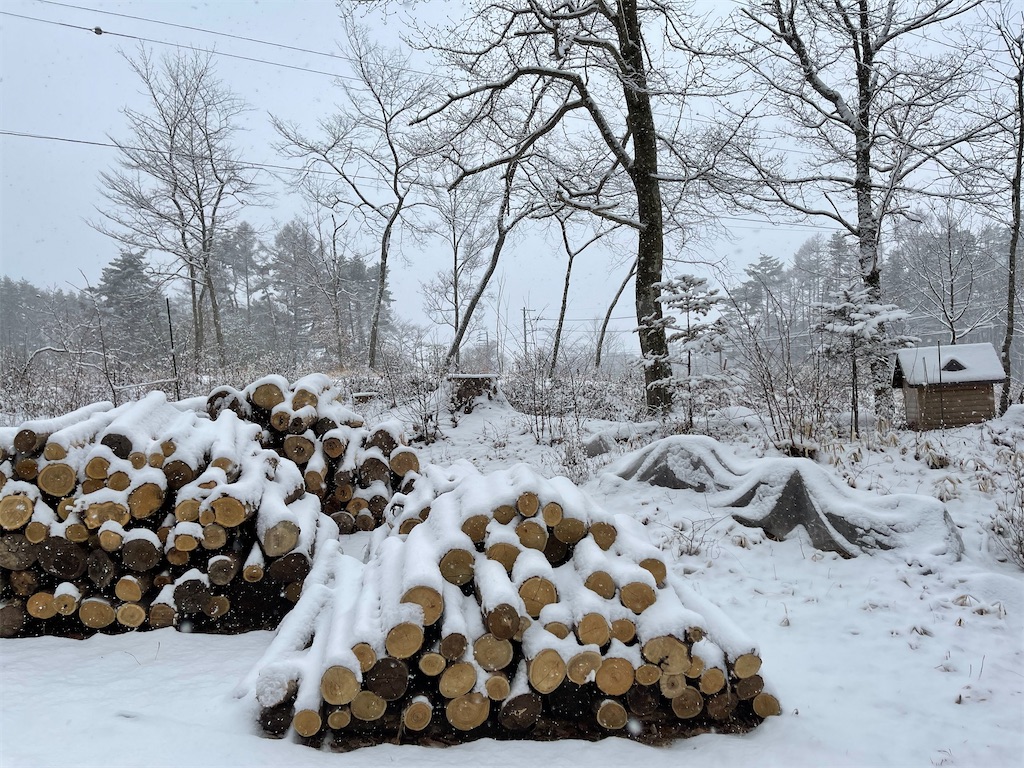 f:id:captaindog082:20210112115355j:image