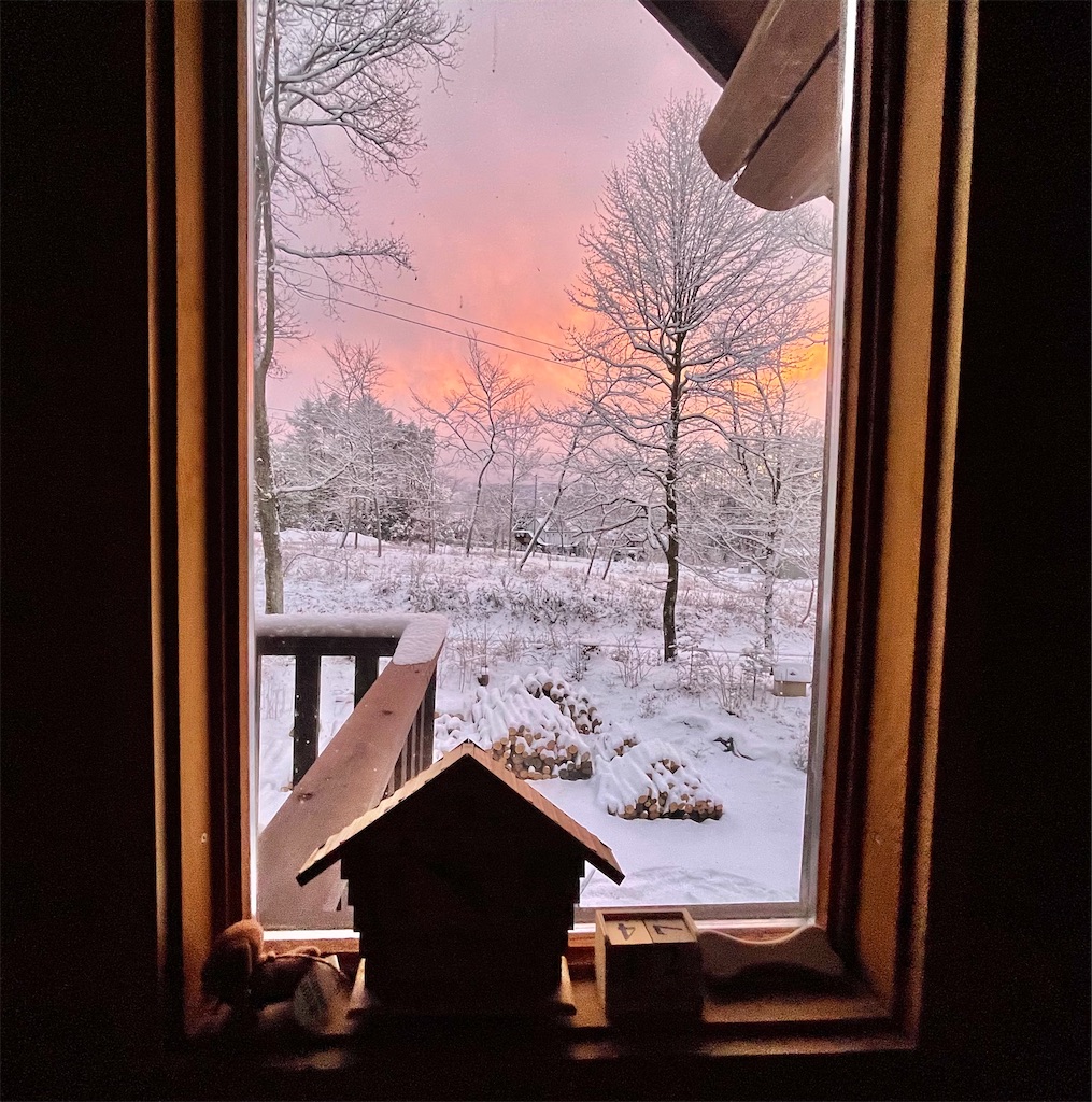 f:id:captaindog082:20210112175535j:image