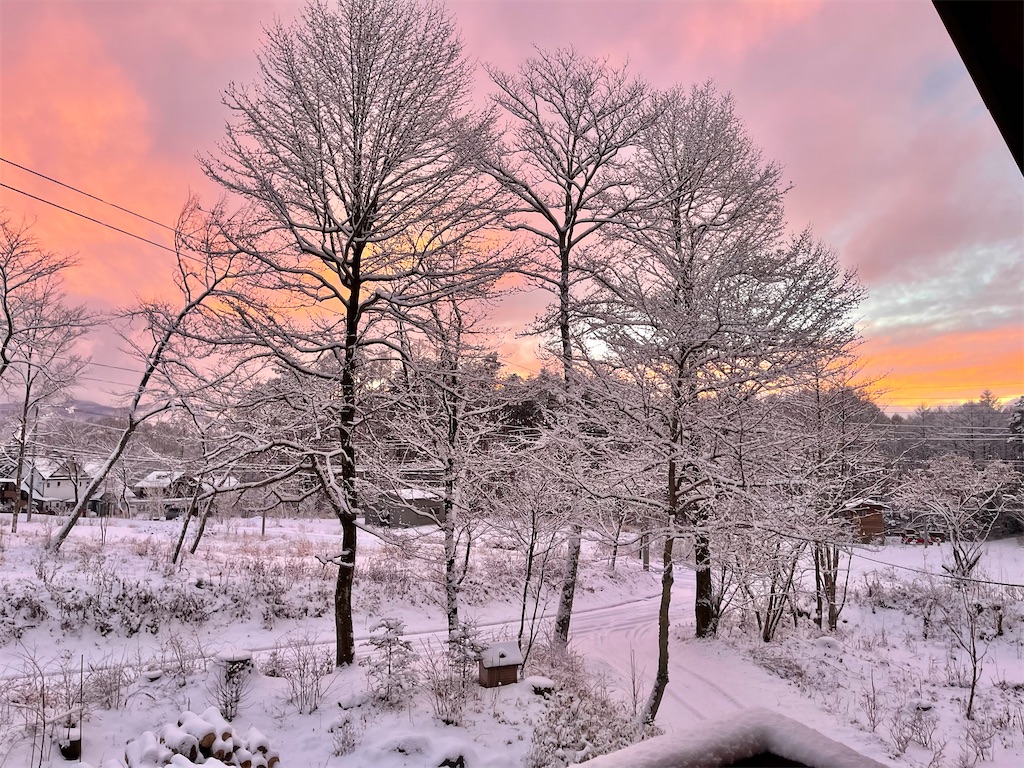 f:id:captaindog082:20210112175539j:image