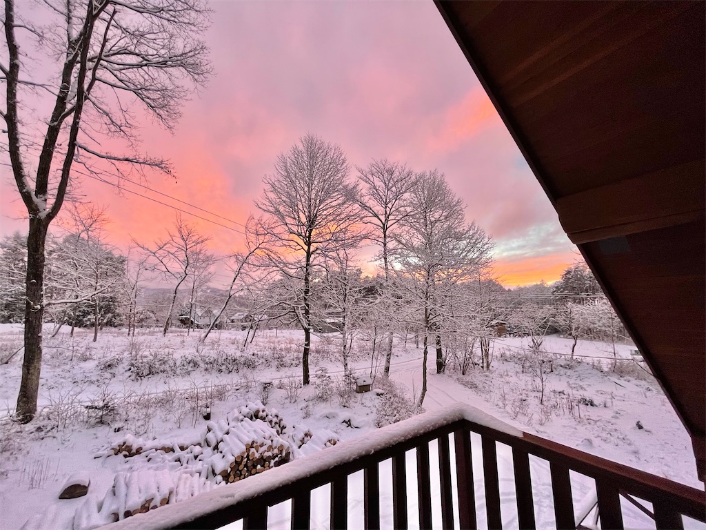 f:id:captaindog082:20210112175551j:image