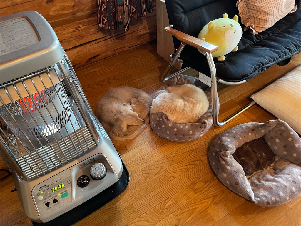 f:id:captaindog082:20210113083258j:image