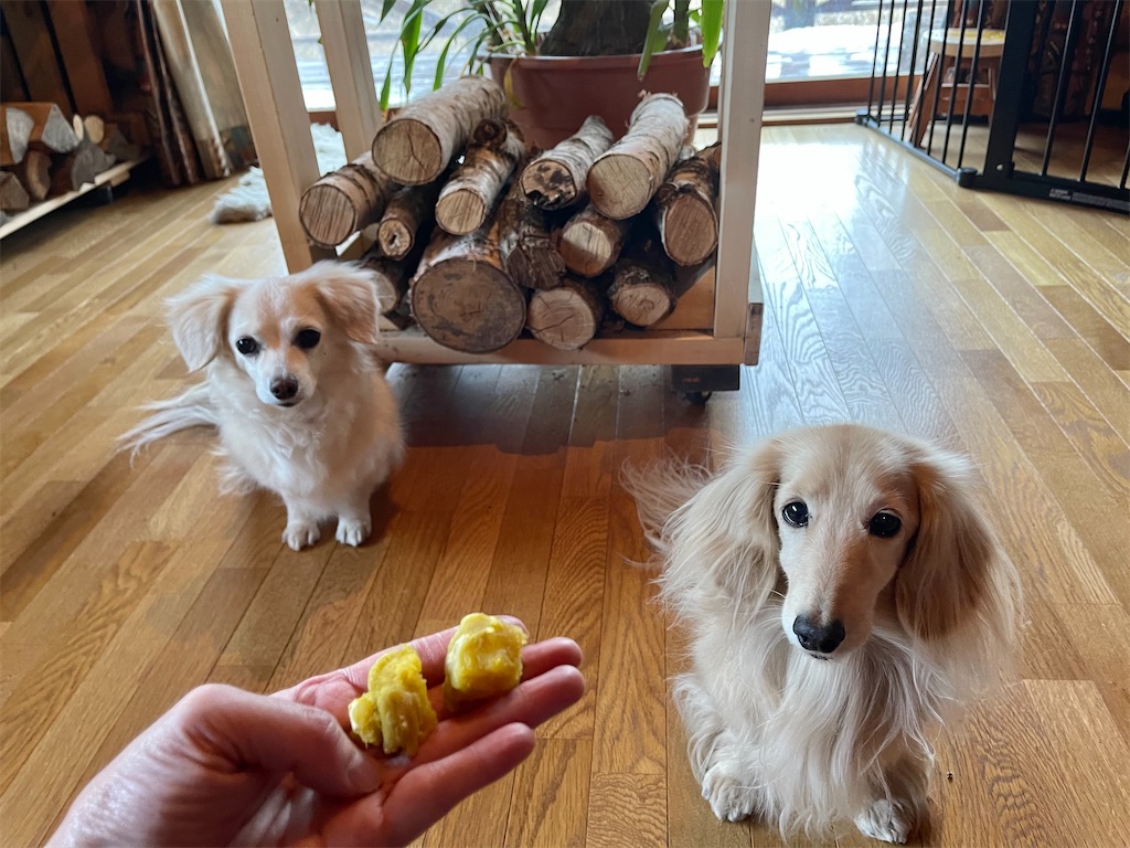 f:id:captaindog082:20210116144823j:image