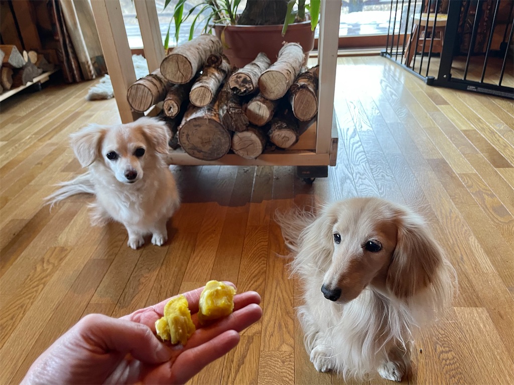 f:id:captaindog082:20210116144831j:image