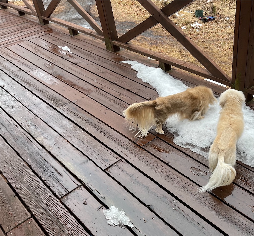 f:id:captaindog082:20210116212841j:image