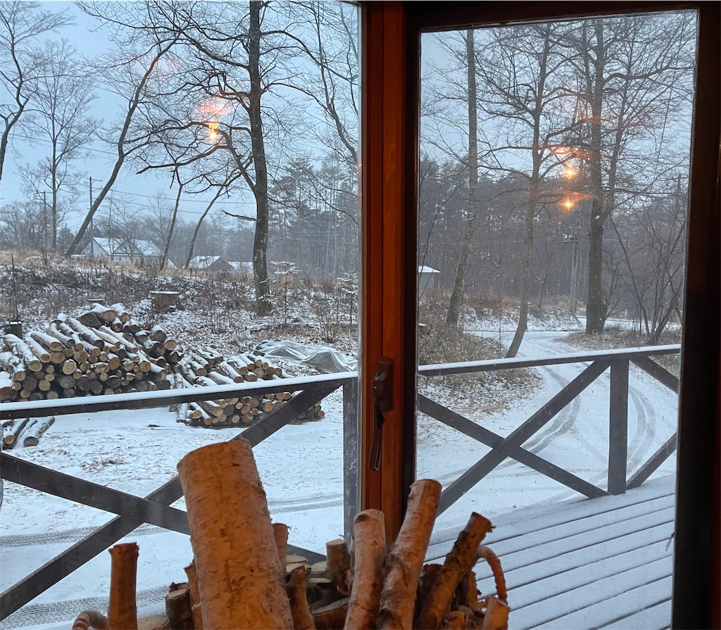 f:id:captaindog082:20210116212902j:image