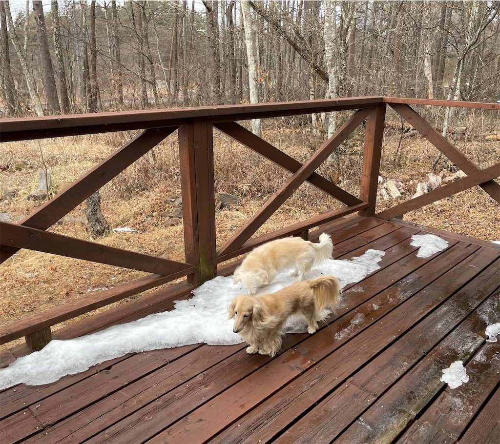 f:id:captaindog082:20210116212906j:image