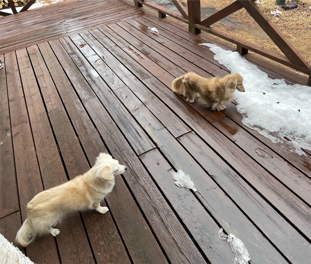 f:id:captaindog082:20210116212910j:image