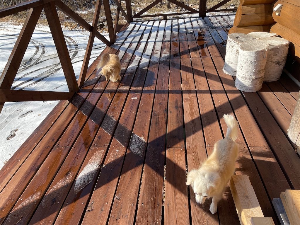 f:id:captaindog082:20210117180537j:image