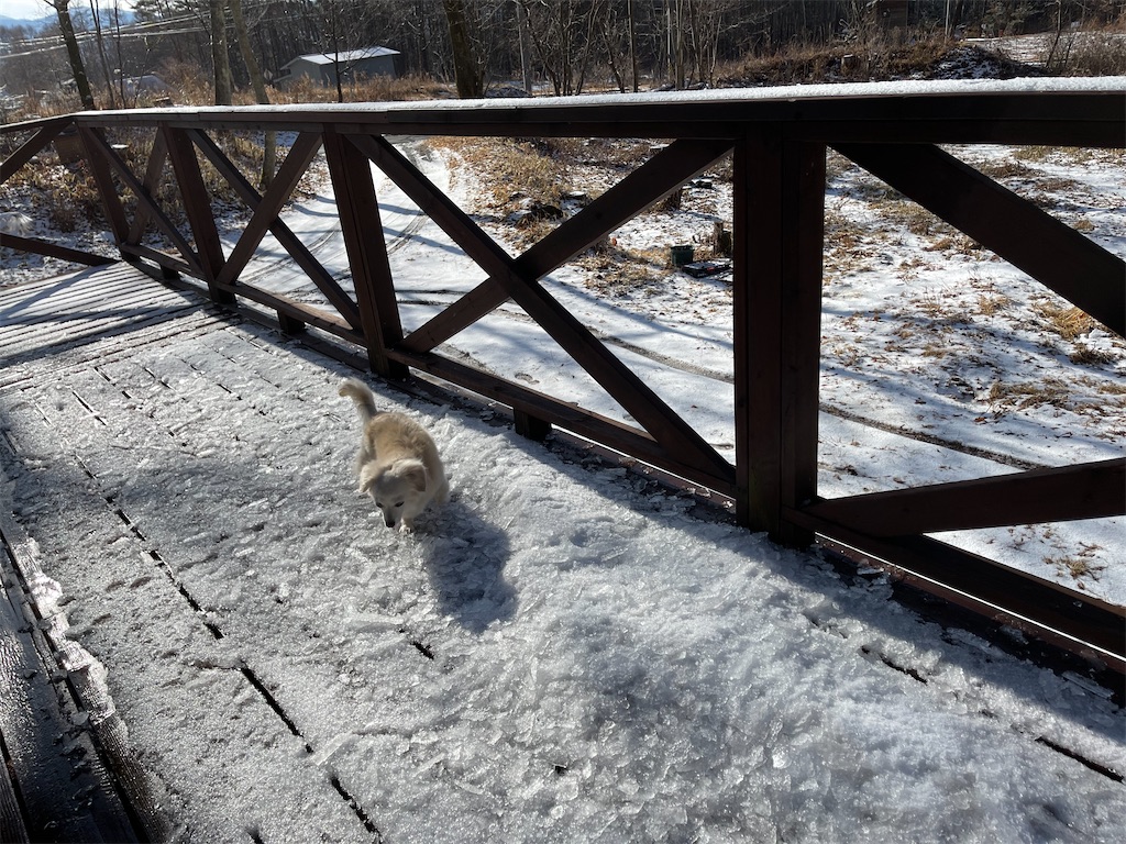 f:id:captaindog082:20210117180542j:image