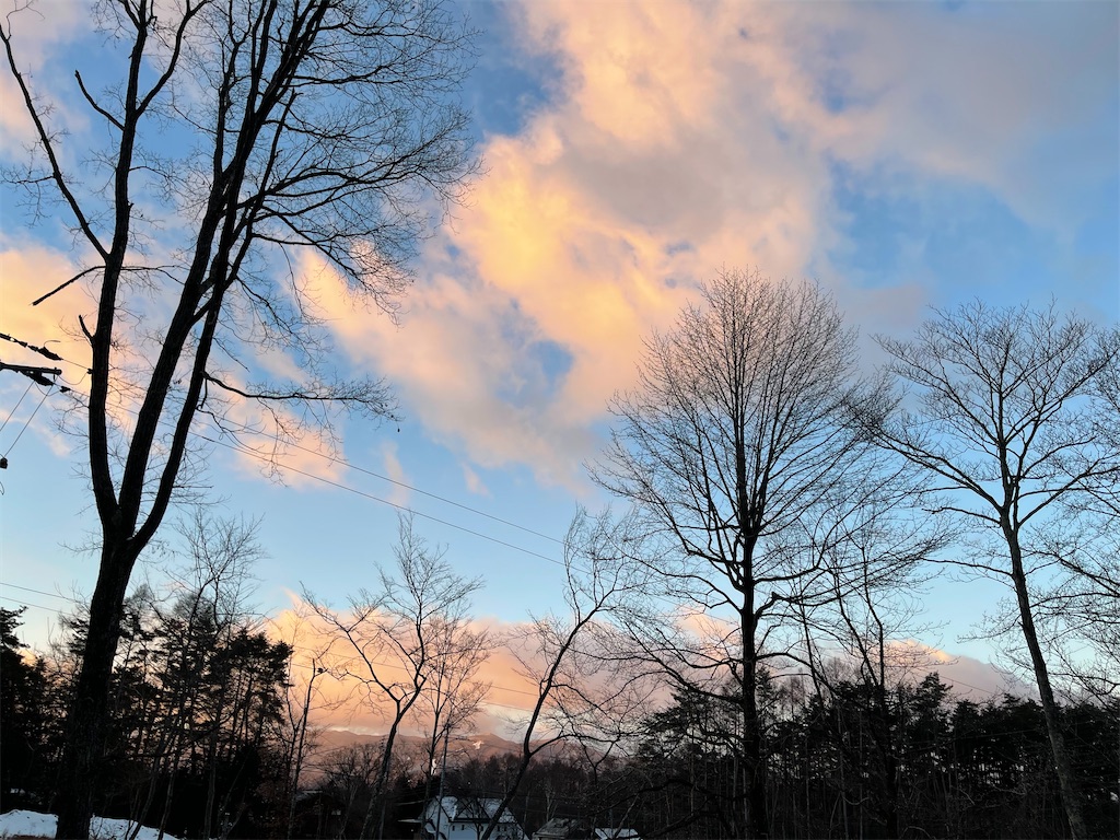 f:id:captaindog082:20210119090833j:image