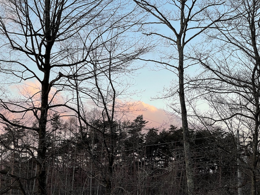 f:id:captaindog082:20210119090836j:image