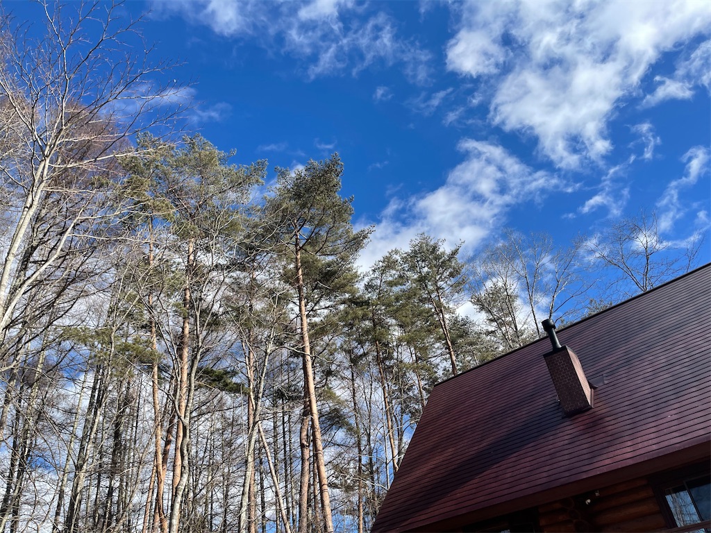 f:id:captaindog082:20210119161242j:image