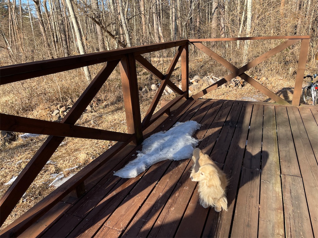 f:id:captaindog082:20210120210920j:image