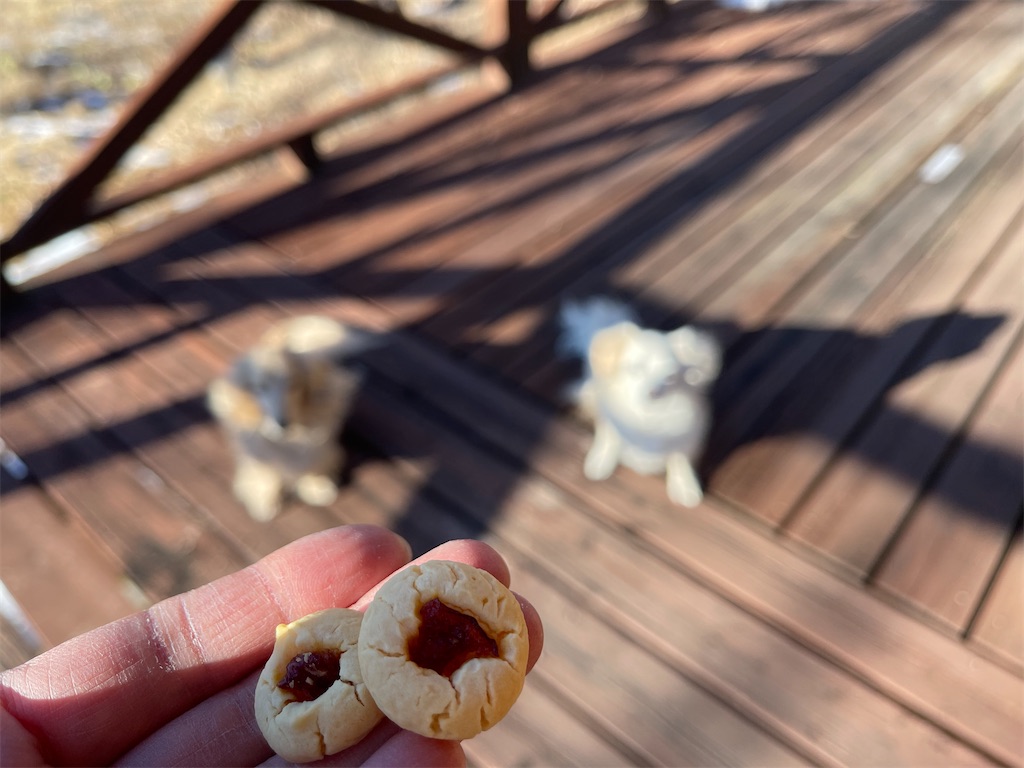 f:id:captaindog082:20210120210924j:image