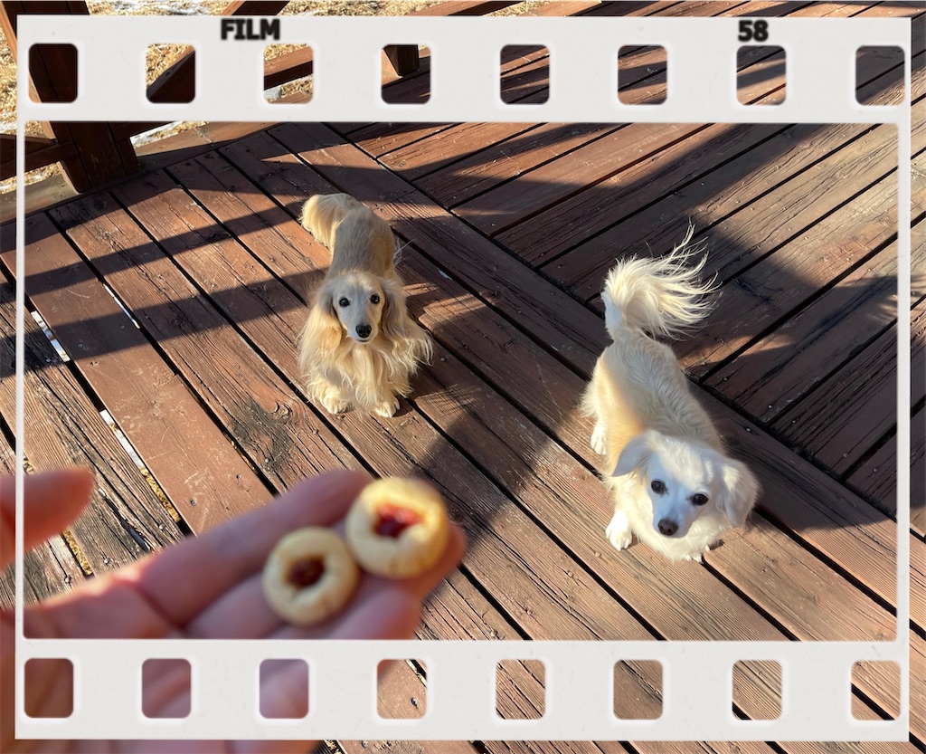 f:id:captaindog082:20210120210934j:image