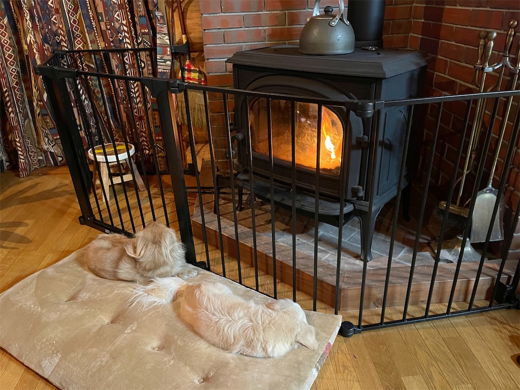 f:id:captaindog082:20210120220830j:image