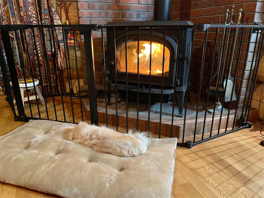 f:id:captaindog082:20210120220833j:image