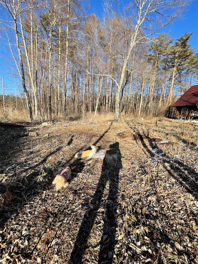 f:id:captaindog082:20210121164331j:image