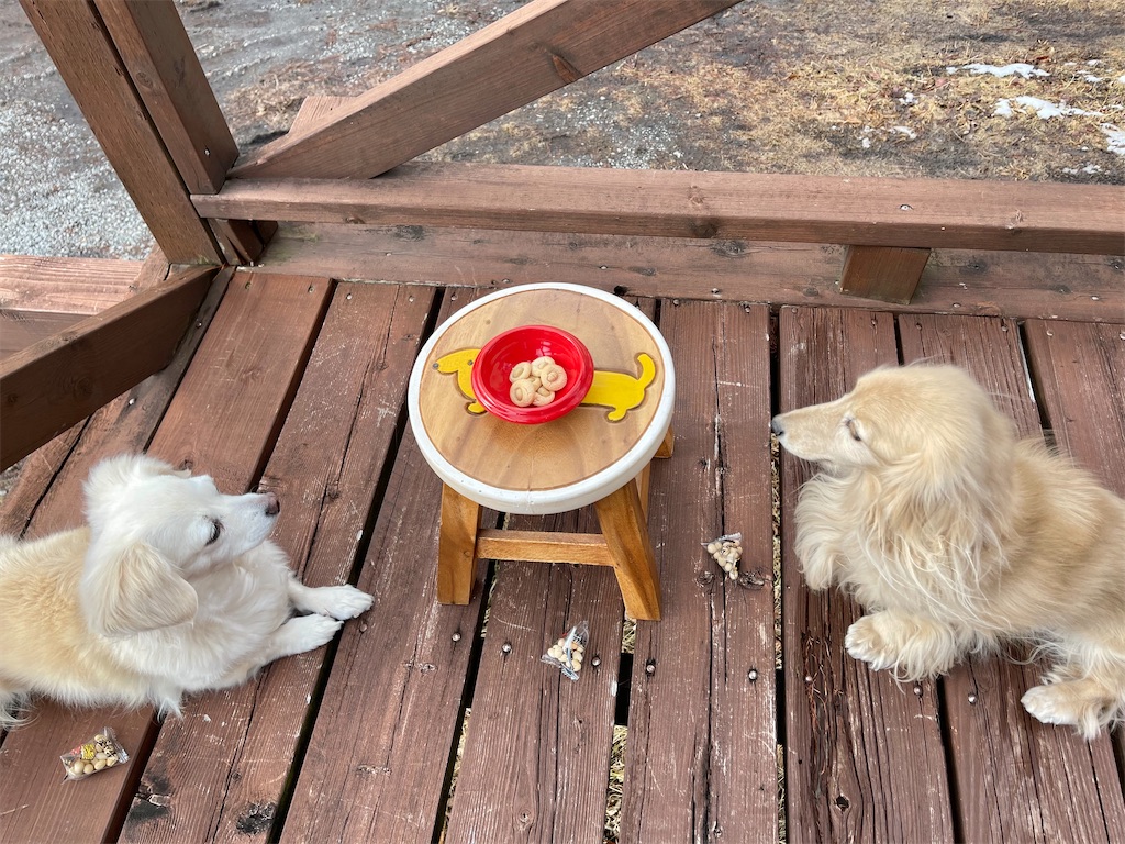 f:id:captaindog082:20210202142308j:image