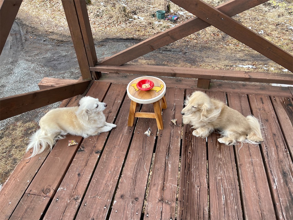 f:id:captaindog082:20210202142340j:image