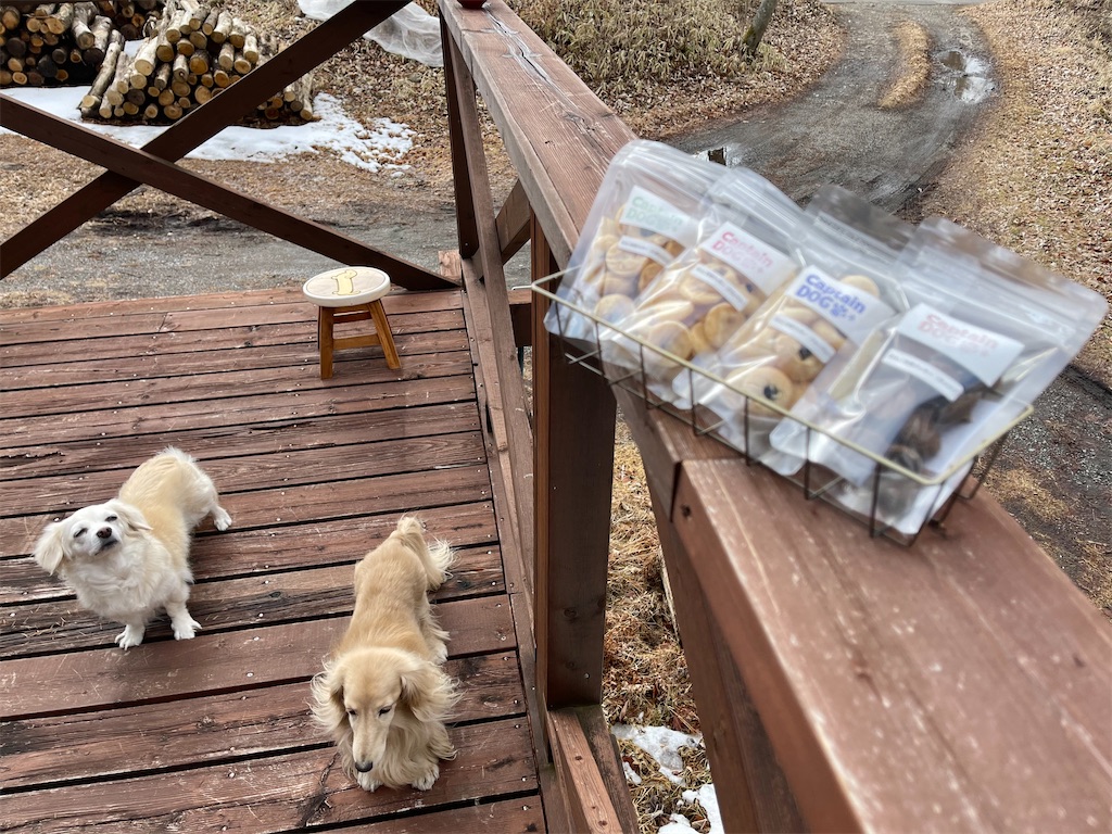 f:id:captaindog082:20210203191119j:image