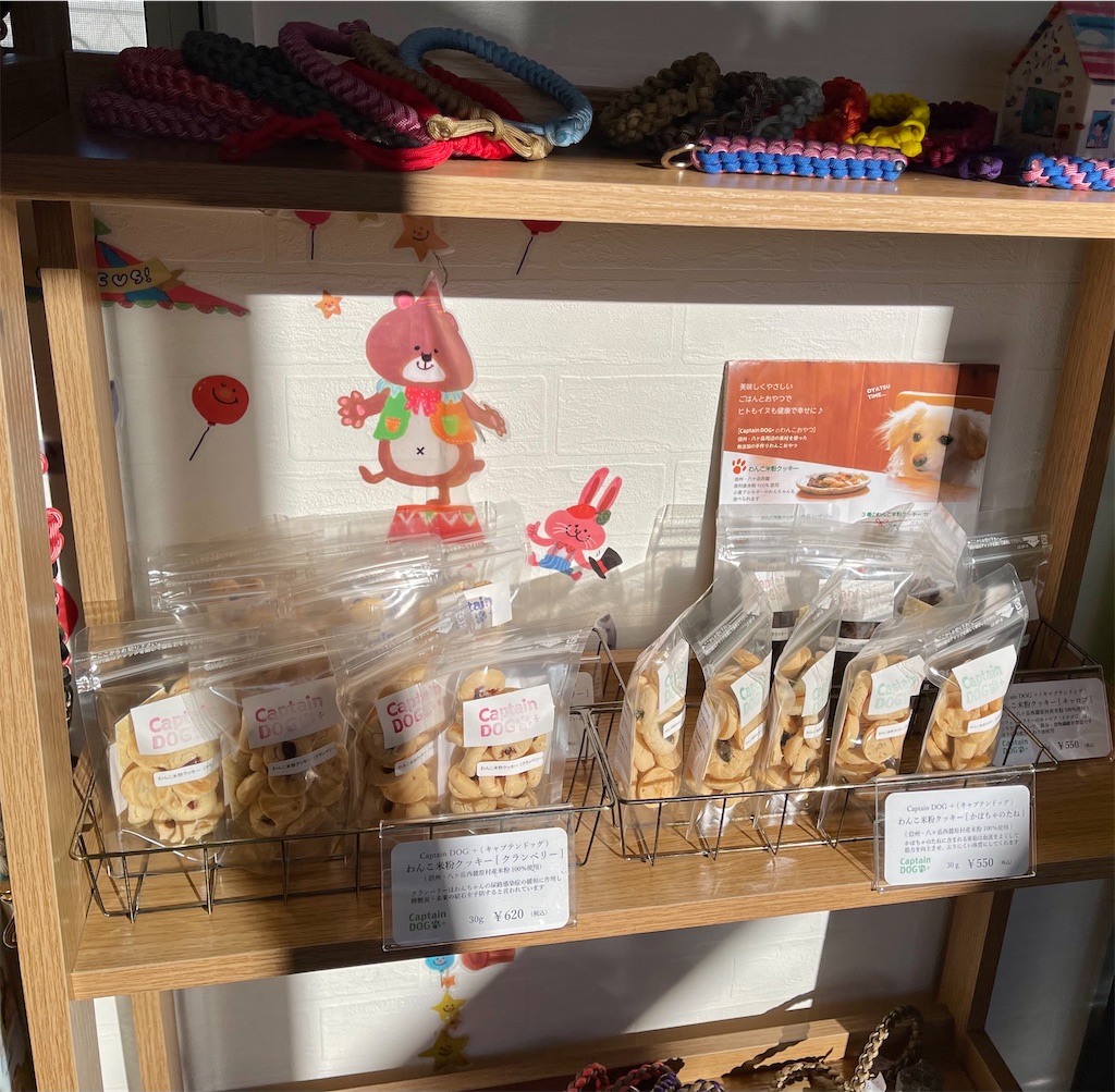 f:id:captaindog082:20210203191123j:image