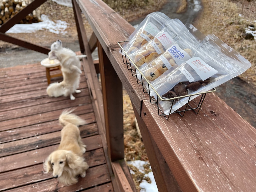 f:id:captaindog082:20210203191127j:image