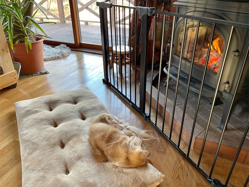 f:id:captaindog082:20210204091405j:image