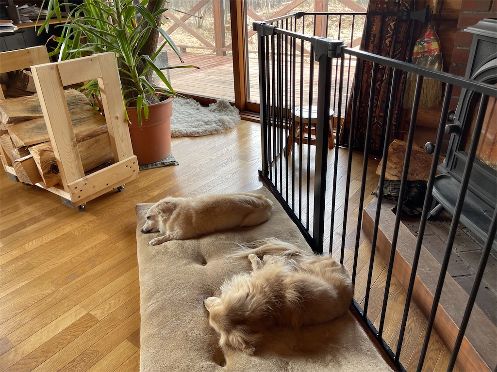 f:id:captaindog082:20210212215833j:image