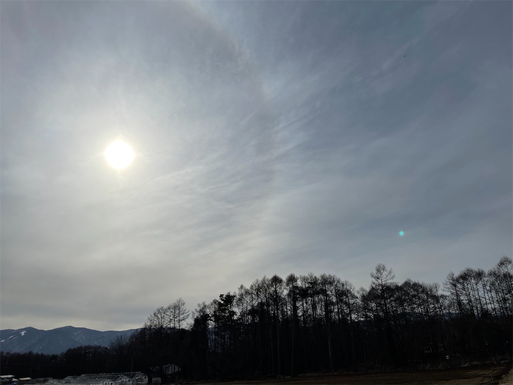 f:id:captaindog082:20210212223404j:image