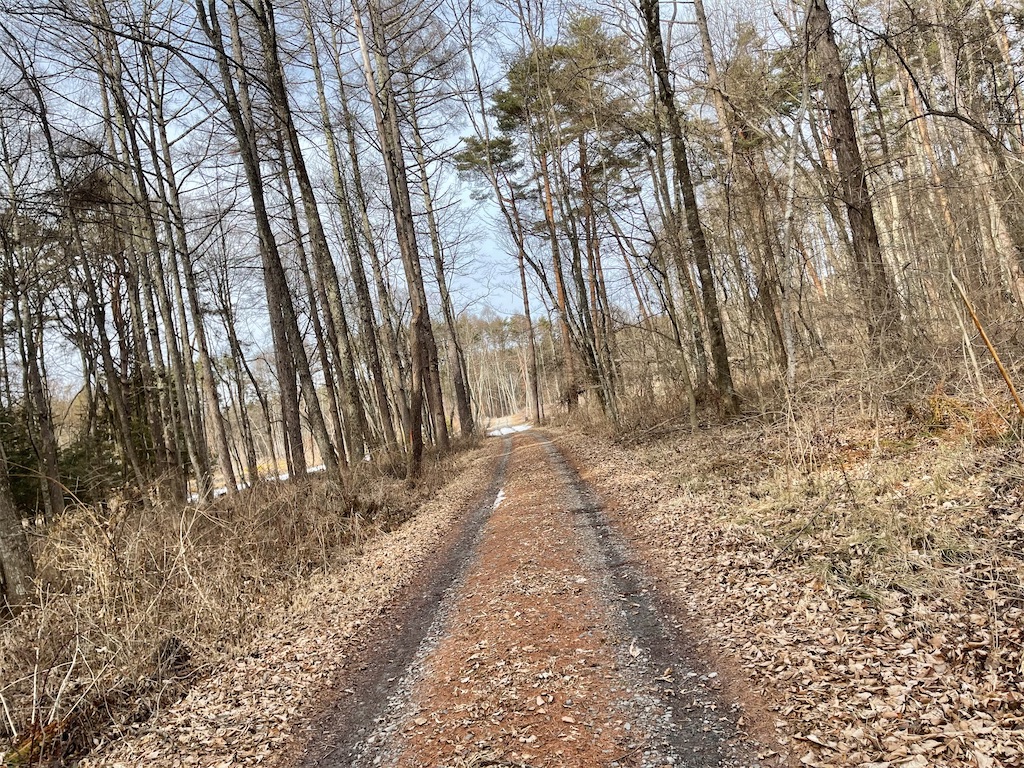 f:id:captaindog082:20210212223412j:image