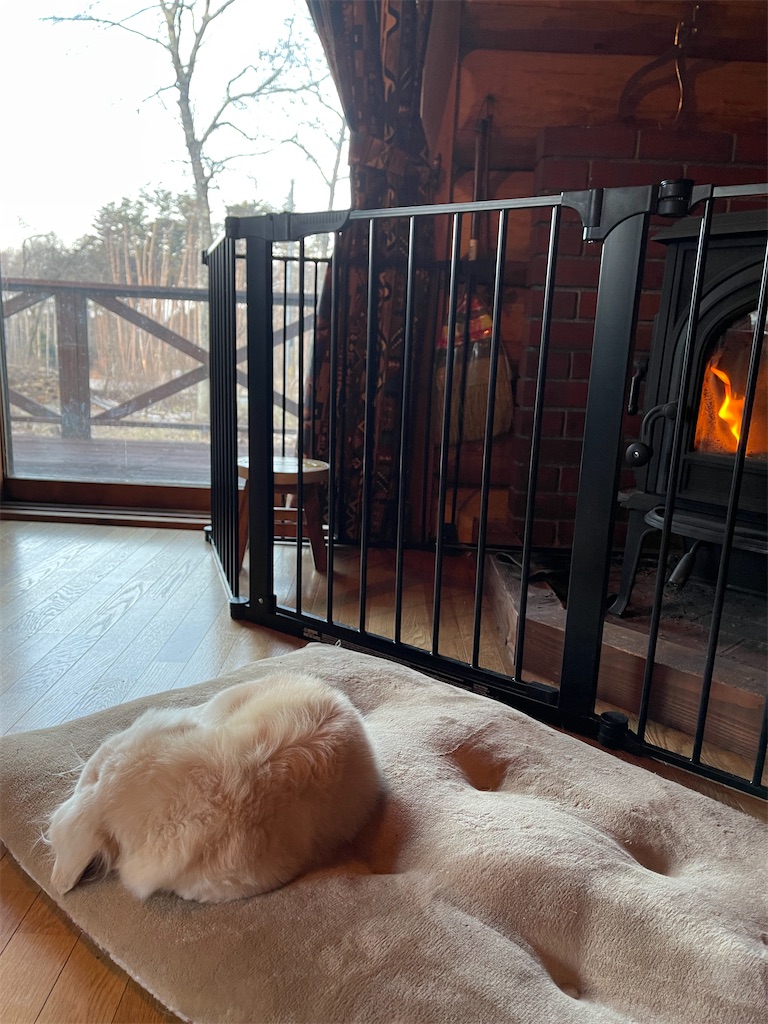 f:id:captaindog082:20210214091825j:image