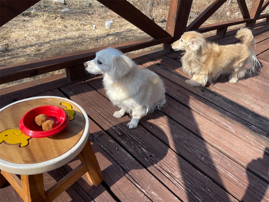 f:id:captaindog082:20210214143014j:image