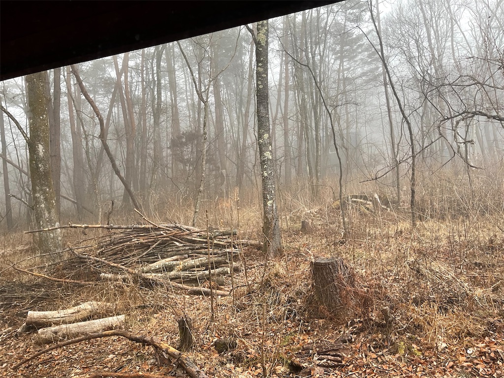 f:id:captaindog082:20210215090408j:image