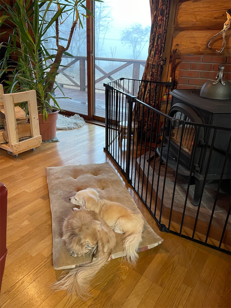 f:id:captaindog082:20210215090419j:image