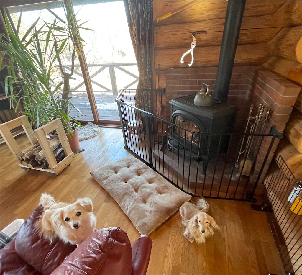 f:id:captaindog082:20210220090221j:image