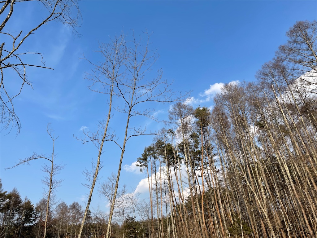 f:id:captaindog082:20210220234951j:image