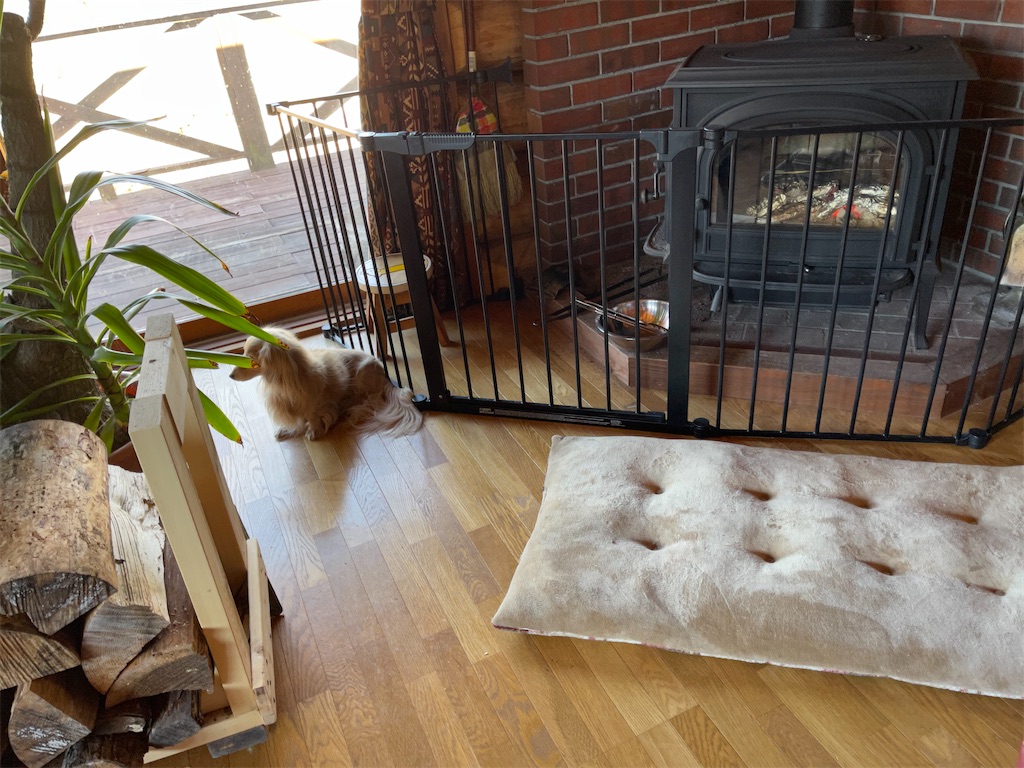 f:id:captaindog082:20210223224633j:image