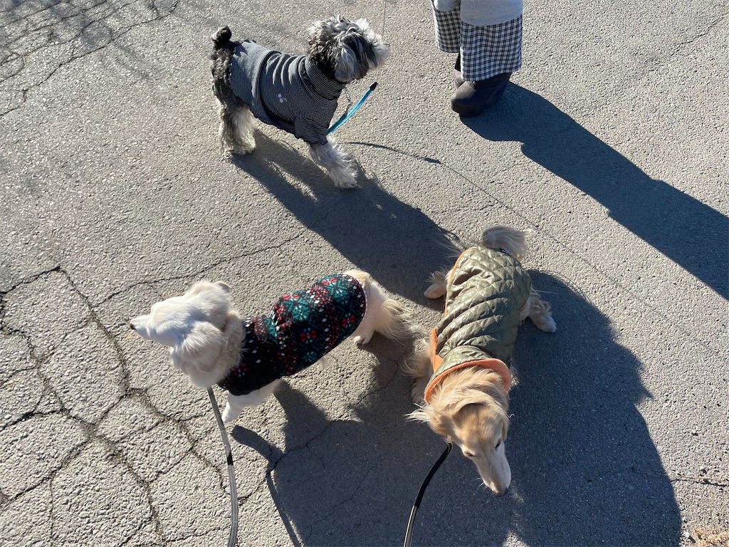 f:id:captaindog082:20210224191148j:image f:id:captaindog082:20210224191148j:image