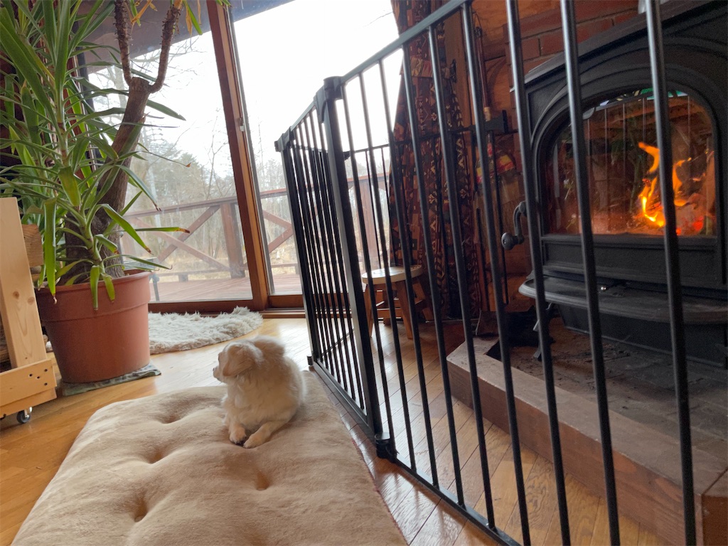 f:id:captaindog082:20210226090613j:image